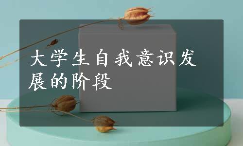 大学生自我意识发展的阶段