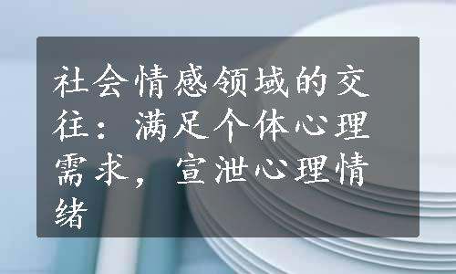 社会情感领域的交往：满足个体心理需求，宣泄心理情绪