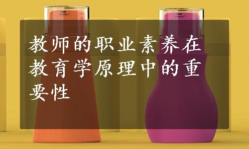 教师的职业素养在教育学原理中的重要性