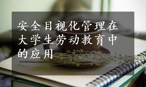 安全目视化管理在大学生劳动教育中的应用