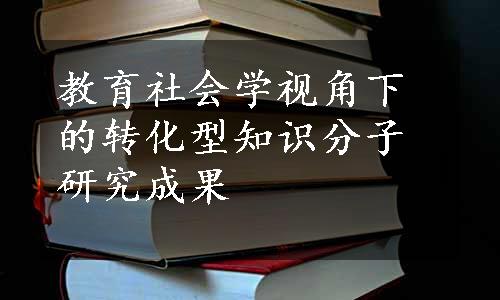 教育社会学视角下的转化型知识分子研究成果