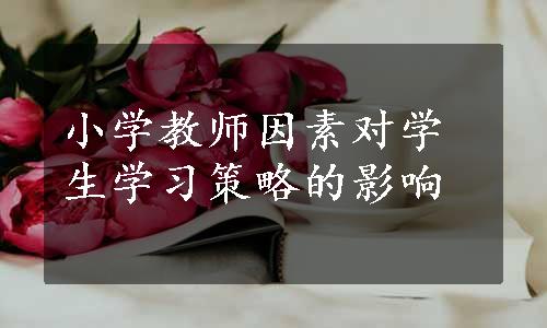 小学教师因素对学生学习策略的影响