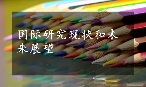 国际研究现状和未来展望