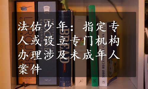 法佑少年：指定专人或设立专门机构办理涉及未成年人案件