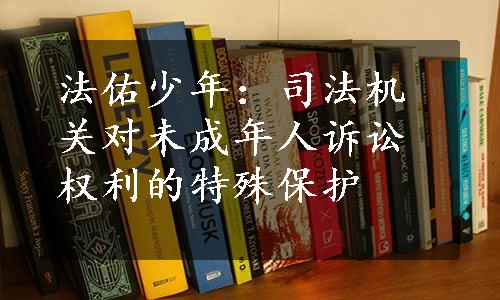 法佑少年：司法机关对未成年人诉讼权利的特殊保护