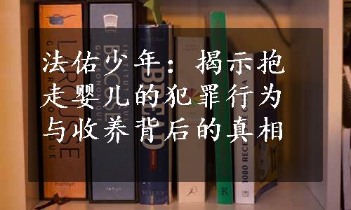 法佑少年：揭示抱走婴儿的犯罪行为与收养背后的真相