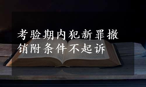 考验期内犯新罪撤销附条件不起诉