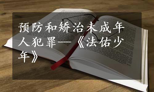 预防和矫治未成年人犯罪—《法佑少年》