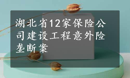 湖北省12家保险公司建设工程意外险垄断案