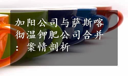 加阳公司与萨斯喀彻温钾肥公司合并：案情剖析