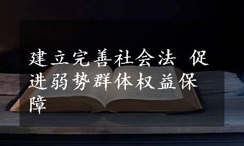 建立完善社会法 促进弱势群体权益保障