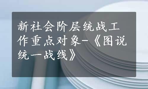 新社会阶层统战工作重点对象-《图说统一战线》