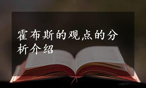 霍布斯的观点的分析介绍