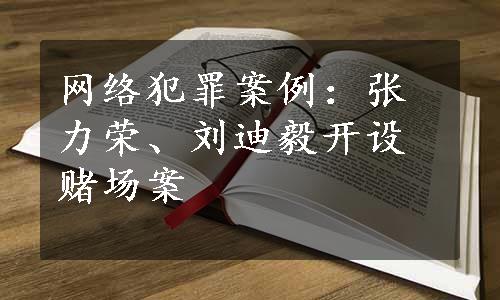 网络犯罪案例：张力荣、刘迪毅开设赌场案