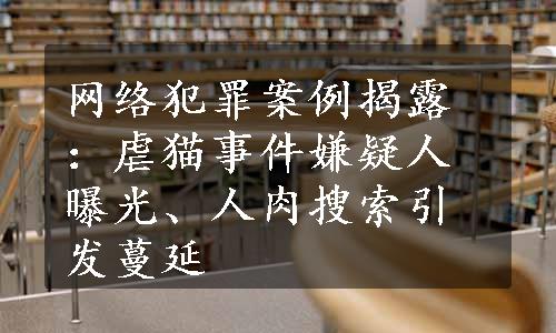 网络犯罪案例揭露：虐猫事件嫌疑人曝光、人肉搜索引发蔓延