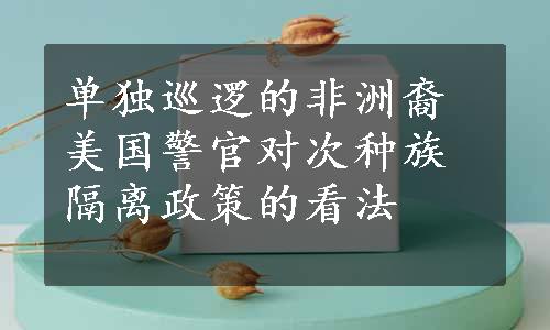 单独巡逻的非洲裔美国警官对次种族隔离政策的看法