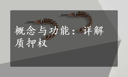 概念与功能：详解质押权