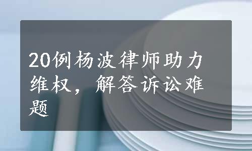 20例杨波律师助力维权，解答诉讼难题