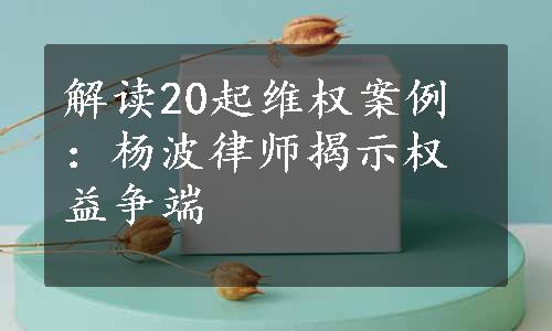 解读20起维权案例：杨波律师揭示权益争端