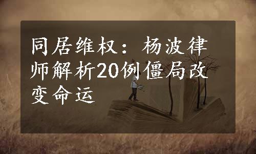 同居维权：杨波律师解析20例僵局改变命运