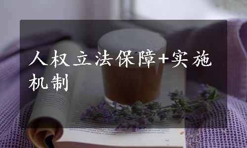 人权立法保障+实施机制