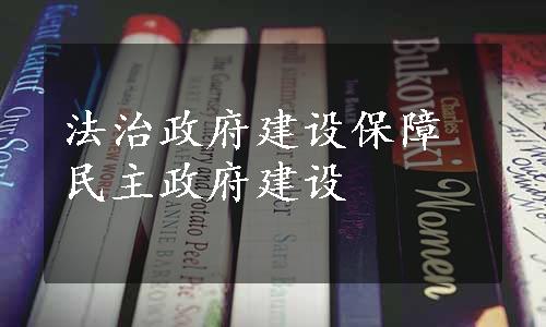 法治政府建设保障民主政府建设