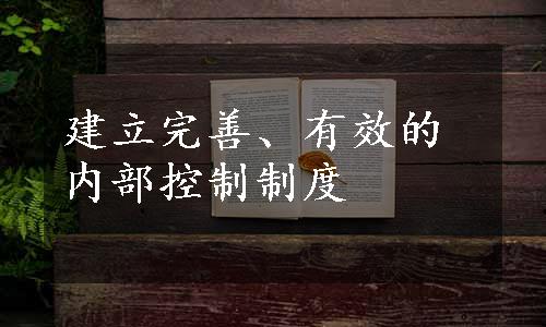 建立完善、有效的内部控制制度