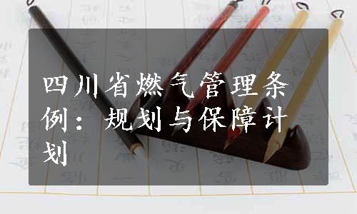 四川省燃气管理条例：规划与保障计划