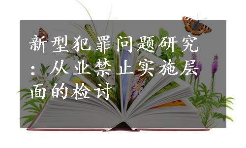 新型犯罪问题研究：从业禁止实施层面的检讨