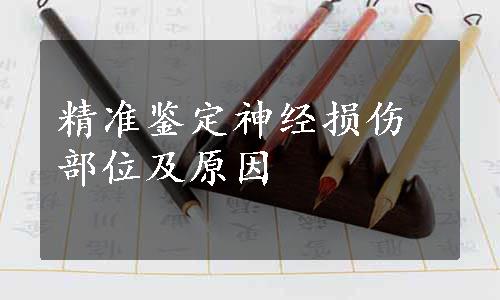 精准鉴定神经损伤部位及原因