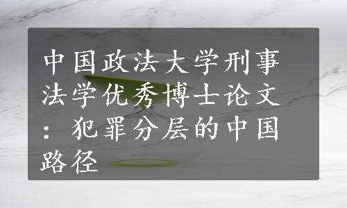 中国政法大学刑事法学优秀博士论文：犯罪分层的中国路径