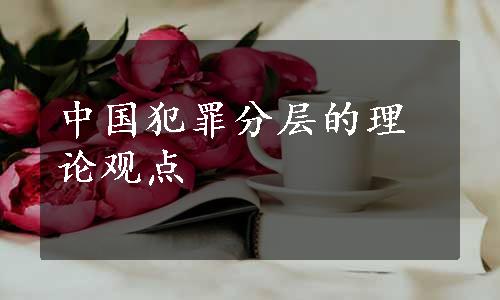 中国犯罪分层的理论观点