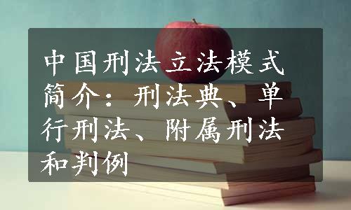 中国刑法立法模式简介：刑法典、单行刑法、附属刑法和判例