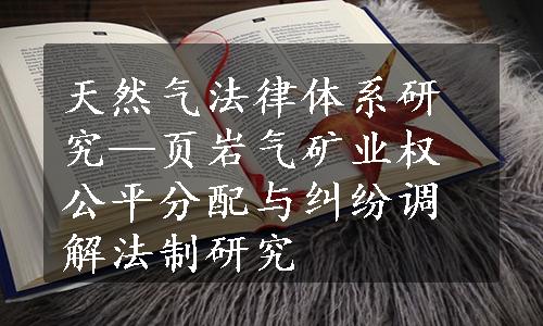 天然气法律体系研究—页岩气矿业权公平分配与纠纷调解法制研究