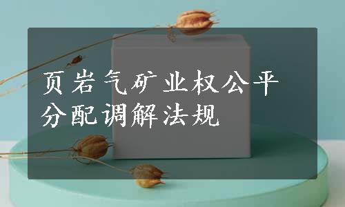 页岩气矿业权公平分配调解法规