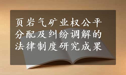 页岩气矿业权公平分配及纠纷调解的法律制度研究成果