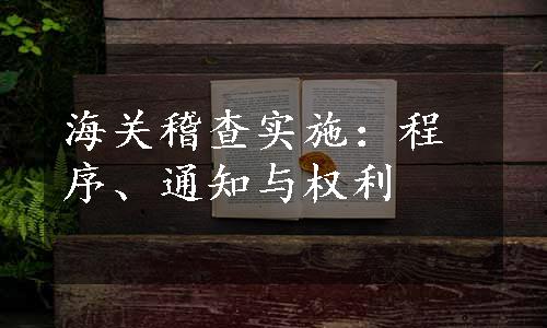 海关稽查实施：程序、通知与权利