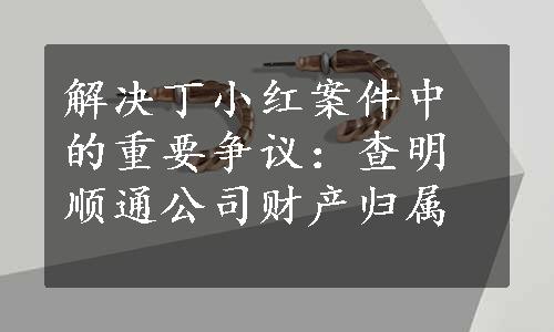 解决丁小红案件中的重要争议：查明顺通公司财产归属