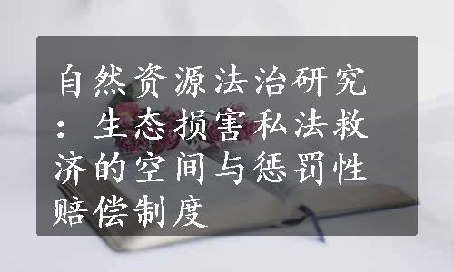 自然资源法治研究：生态损害私法救济的空间与惩罚性赔偿制度