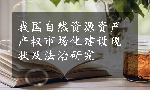 我国自然资源资产产权市场化建设现状及法治研究