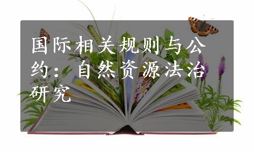 国际相关规则与公约：自然资源法治研究