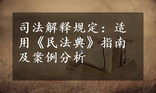 司法解释规定：适用《民法典》指南及案例分析