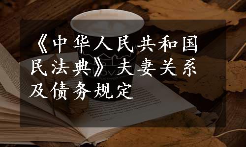 《中华人民共和国民法典》夫妻关系及债务规定