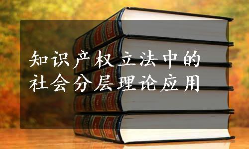 知识产权立法中的社会分层理论应用