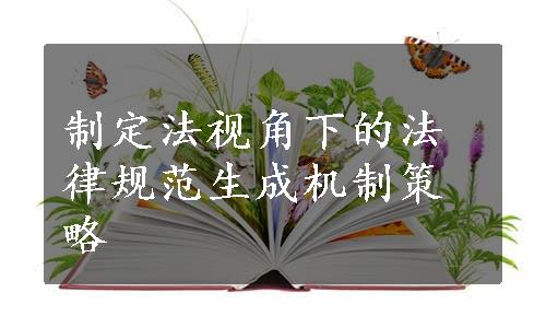 制定法视角下的法律规范生成机制策略