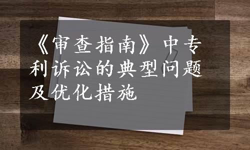 《审查指南》中专利诉讼的典型问题及优化措施