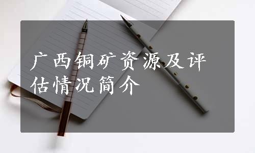 广西铜矿资源及评估情况简介