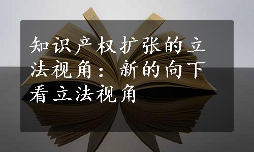 知识产权扩张的立法视角：新的向下看立法视角