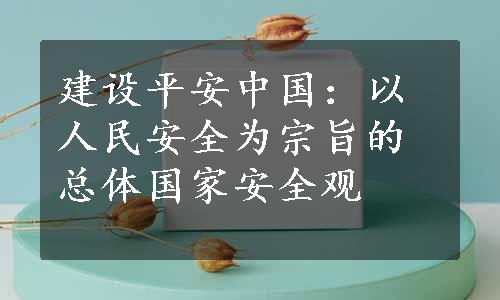 建设平安中国：以人民安全为宗旨的总体国家安全观