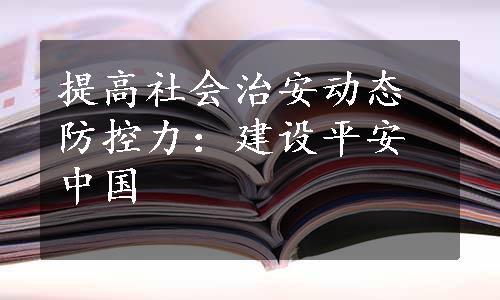 提高社会治安动态防控力：建设平安中国